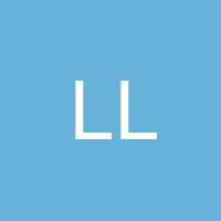 LASMA LETTINA